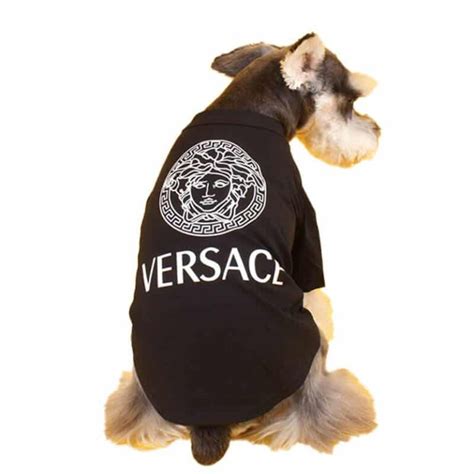 versace dog sweater|Versace Designer Pet Accessories .